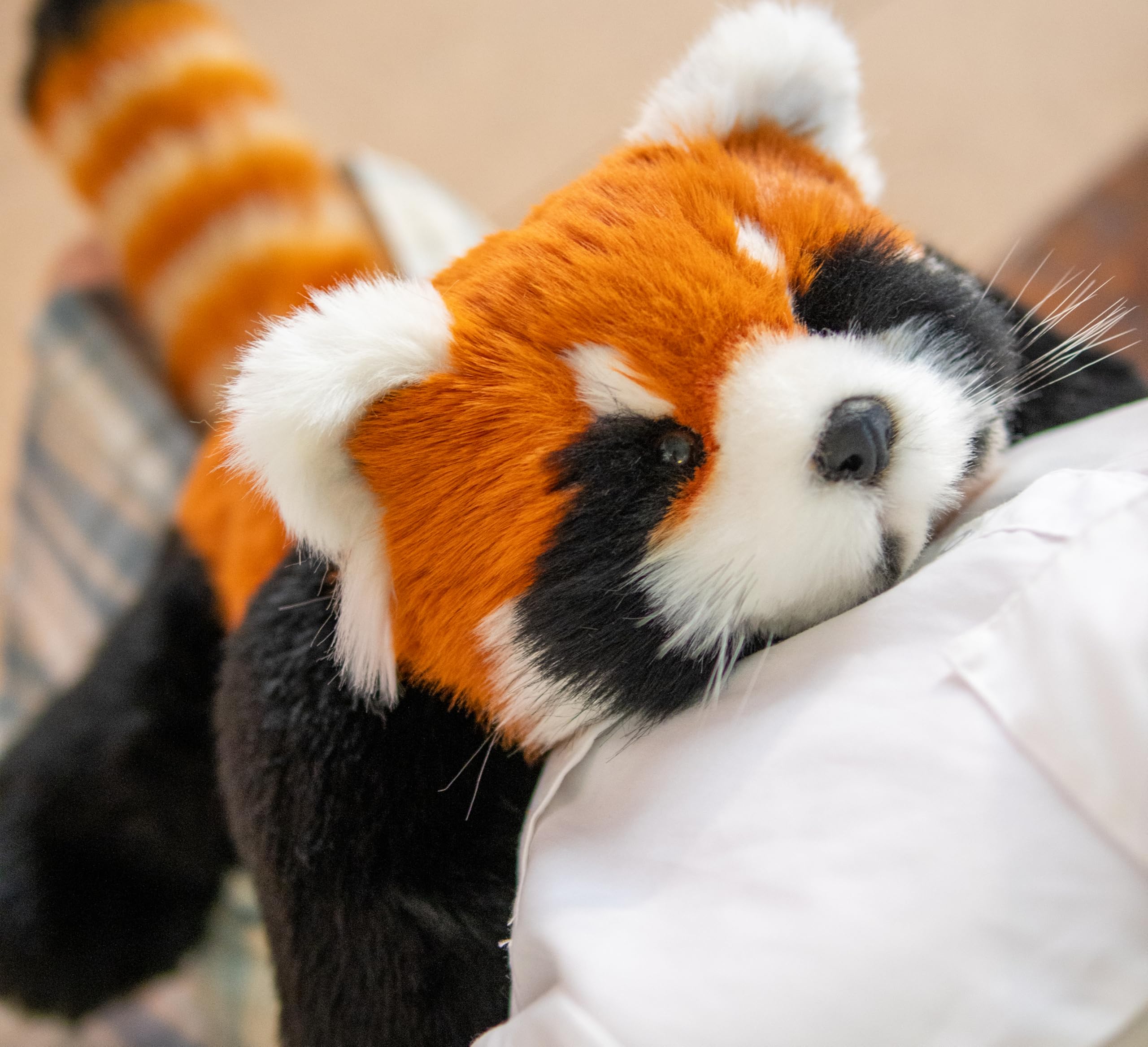Amazon.com: Chongker Breathing Stuffed Animal, Soothing Red Panda
